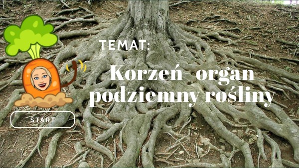 Korzeń Organ Podziemny Rośliny korzeń | Genially