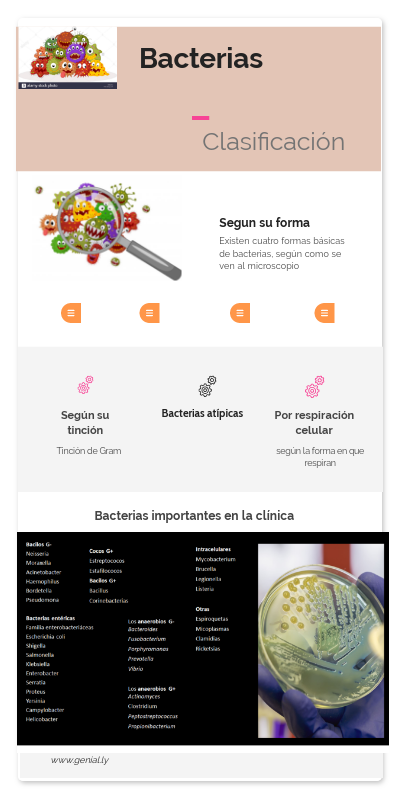 Clasificación de las bacterias | Genially