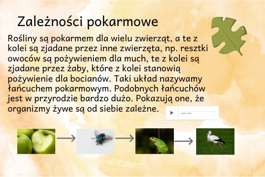 Zależności pokarmowe | Genially