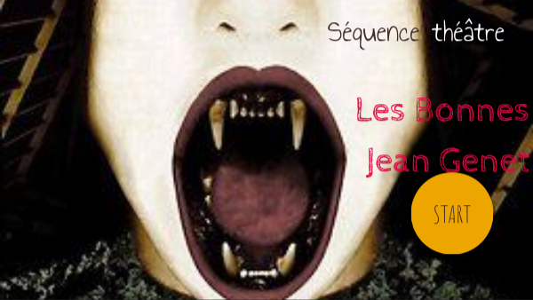 Les Bonnes, Genet