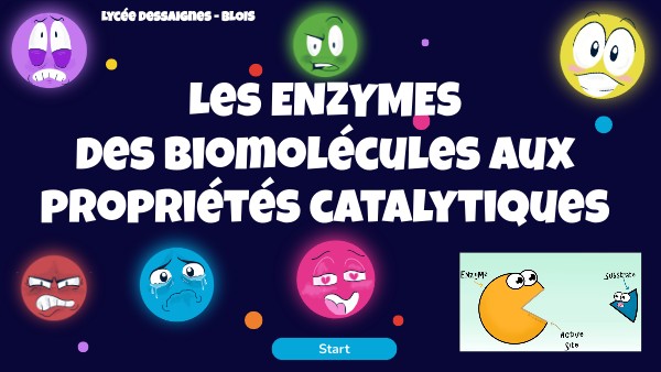 Enzyme | Genially