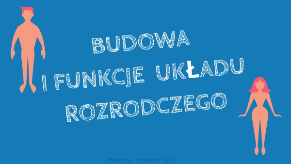 Bilogia Sprawdzian 2 Gimaznjum Uklad Rozrodczy Układ rozrodczy@!&