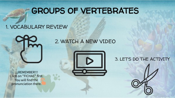 Groups of vertebrates