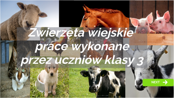 klasa 3 zwierzęta