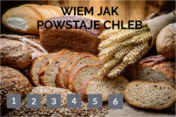 WIEM JAK POWSTAJE CHLEB | Genially