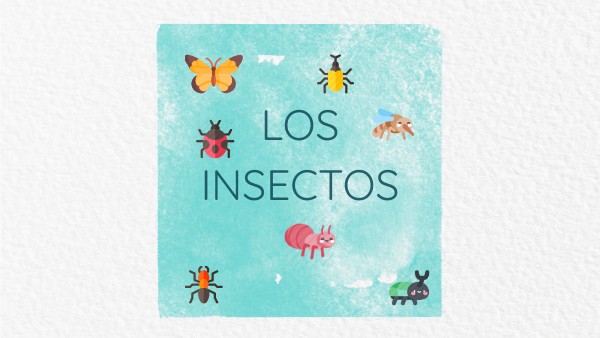 LOS INSECTOS | Genially