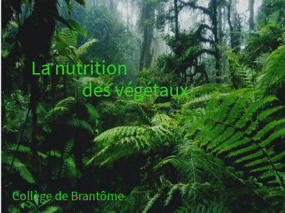 Image interactive copie copie | Genially