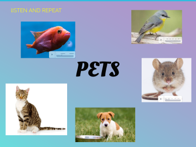 Pet Infantil Genially