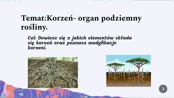 Korzeń Organ Podziemny Rośliny Korzeń- organ podziemny-kl.5 | Genially