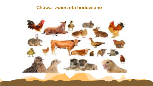 Zwierzęta hodowlane | Genially