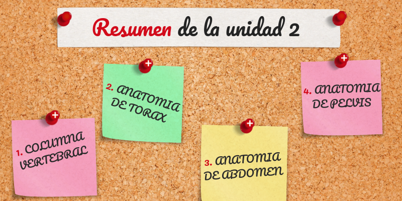 SEMANA 8 | Genially