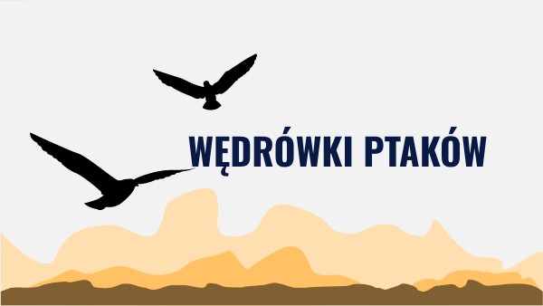 Wędrówki ptaków