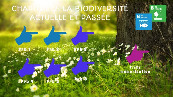 Biodiversité Actuelle Et Passée Page De Garde 6 Svt 6ème chap 2 biodiversité actuelle ou passée | Genially
