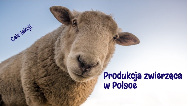 Produkcja zwierzęca kl. VII