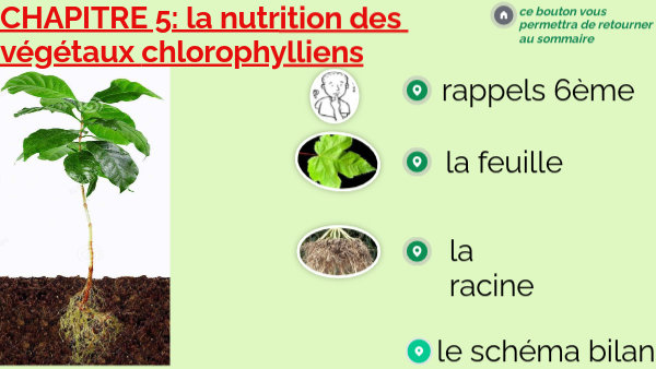 nutrition_vegetaux_5ème