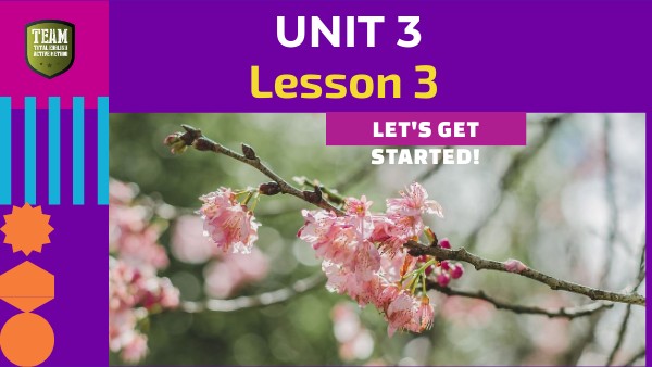 UNIT 3 Lesson 3