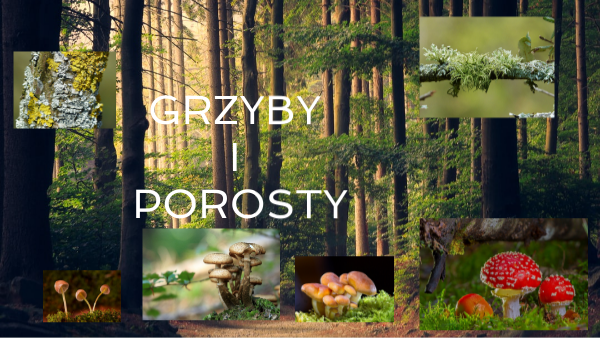 GRZYBY I POROSTY | Genially