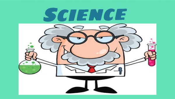 Unit 1 Compass Language Log | Genially