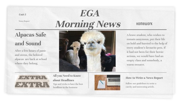 NEWS REPORT | Genially
