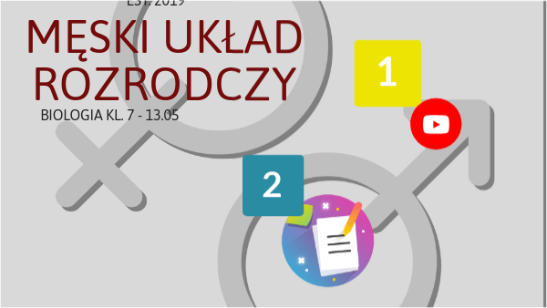 żeński Układ Rozrodczy Prezentacja Męski układ rozrodczy | Genially