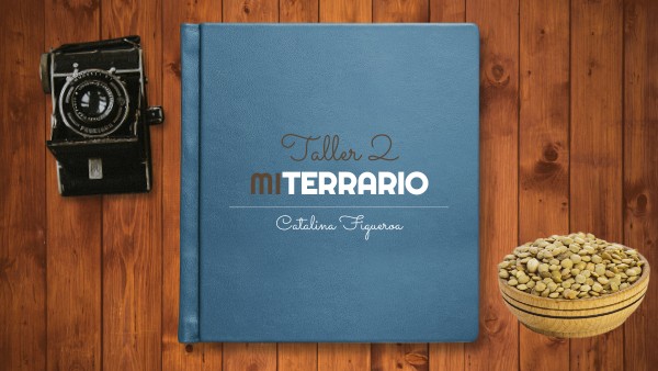 TALLER 2 | Genially