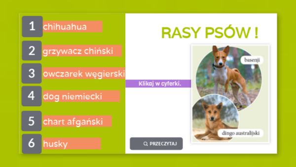 rasy psow | Genially