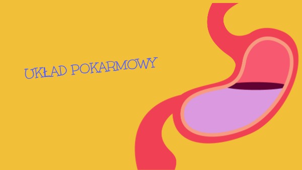 Układ Pokarmowy Sprawdzian Iv Kl 7 Forum