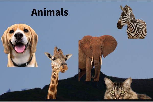 Interactive image | Genially