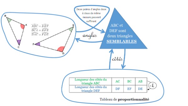 les triangles semblables