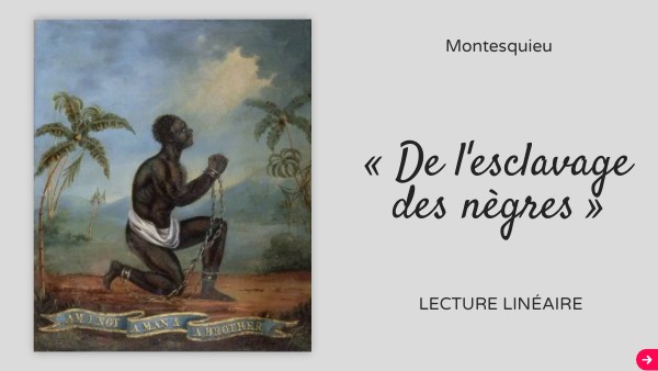 Montesquieu - De l'esclavage des nègres