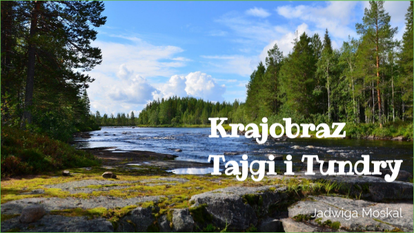 tajga i Tundra | Genially