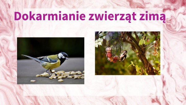 Opiekujemy się zwierzętami zimą | Genially