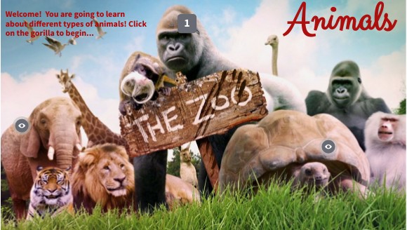 Animals | Genially