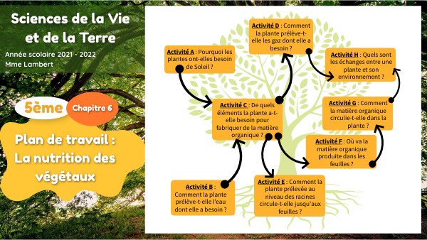 5ème - Nutrition des végétaux | Genially