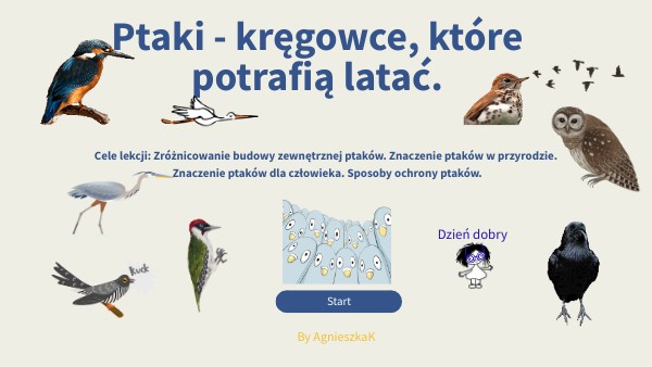 B6 Ptaki - kręgowce, które potrafią latać