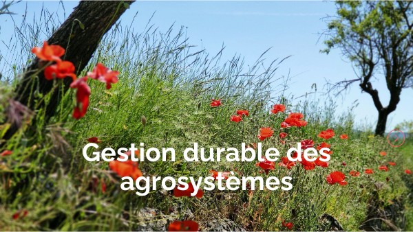 GESTION DURABLE DES AGROSYSTÈMES | Genially