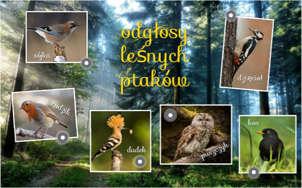 Interactive image copy | Genially