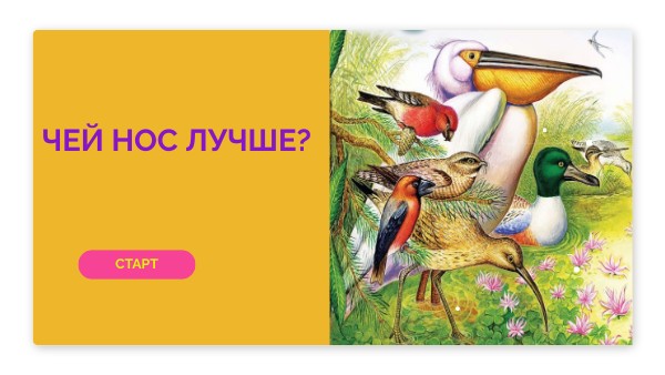 Чей нос лучше