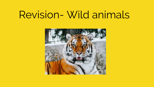 Revision- Wild animals | Genially