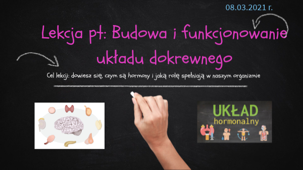 Układ Hormonalny Biologia Klasa 7 Układ hormonalny | Genially