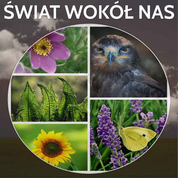 świat wokół nas | Genially