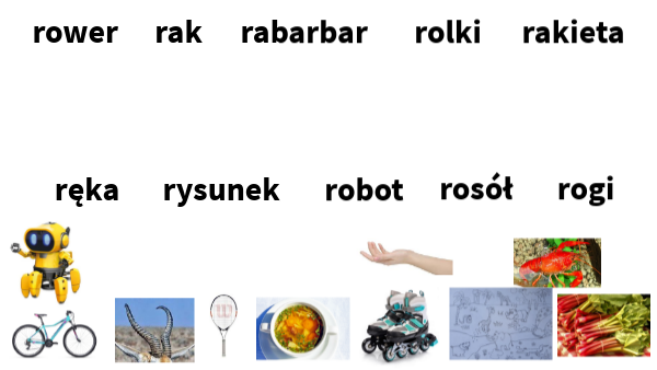 Litera R