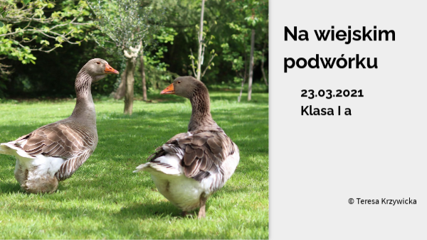 NA WIEJSKIM PODWÓRKU 23.03.21