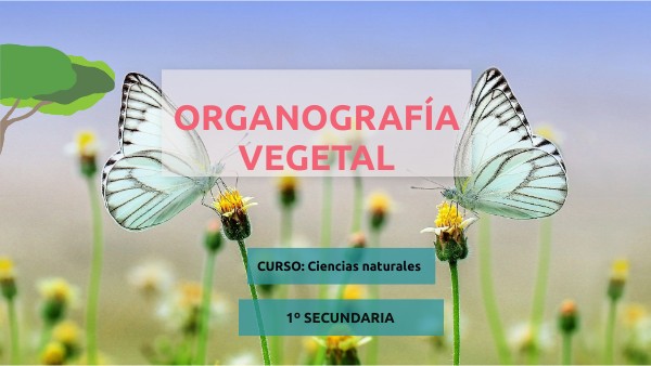 Organografía vegetal 1ro sec | Genially