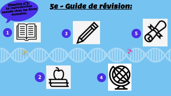 Copie - 5e - Guide de révision : Chapitre n°1 | Genially