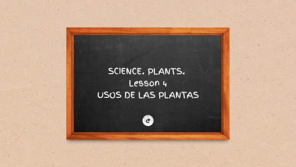 PLANTS. LESSON 4. FIRST GRADE PRIMARY | Genially