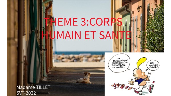 Reproduction Corps Ancien S F B J 26 Cm - Poupée Composition, Montage Vitrine