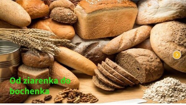 od ziarenka do bochenka