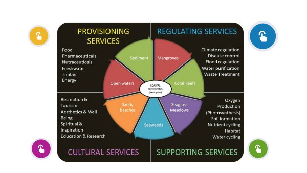 Ecosystems services