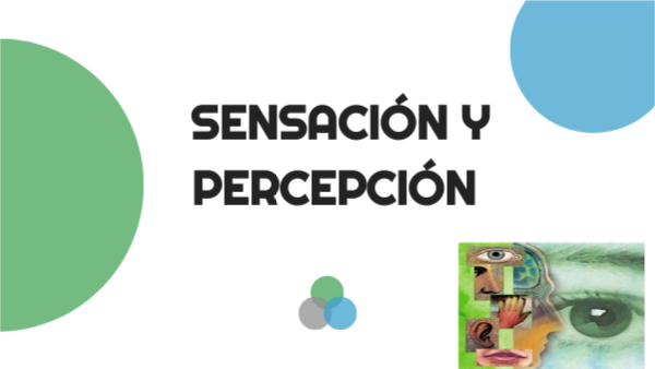 Tema: Sensación y Percepción | Genially